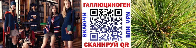 наркотики  Онега  Псилоцибиновые грибы ЛСД 